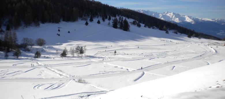 le piste da sci di fondo di Trivigno - Aprica